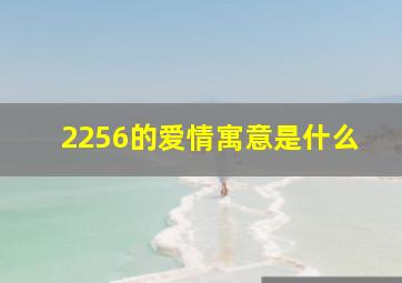 2256的爱情寓意是什么