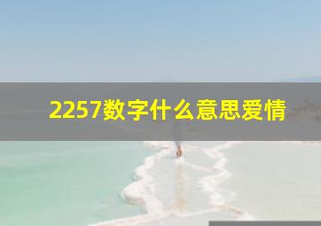 2257数字什么意思爱情