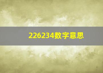 226234数字意思