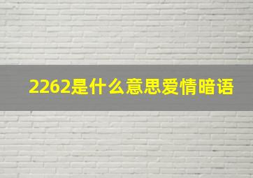 2262是什么意思爱情暗语