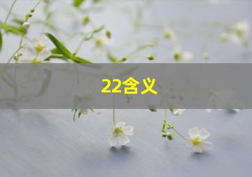 22含义