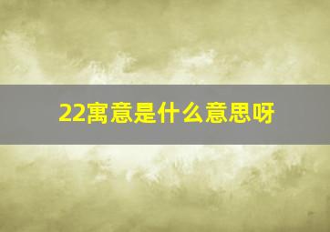 22寓意是什么意思呀