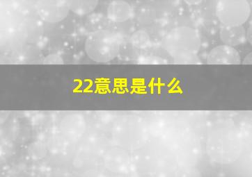 22意思是什么