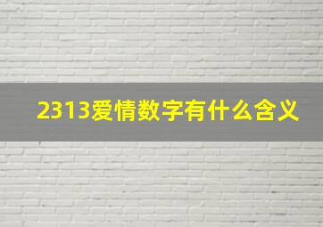 2313爱情数字有什么含义