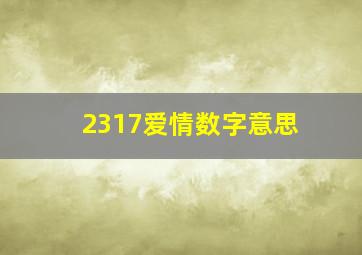 2317爱情数字意思