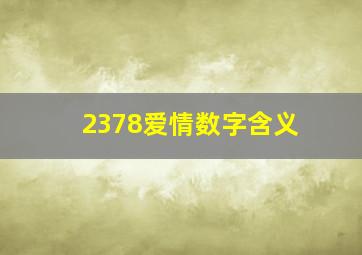 2378爱情数字含义