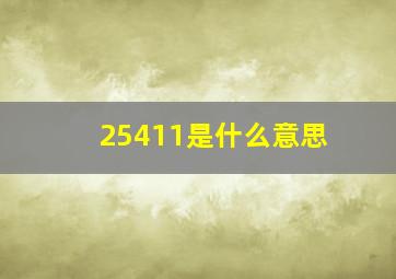 25411是什么意思