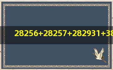 28256+28257+282931+38356+38357+383941是什么意思