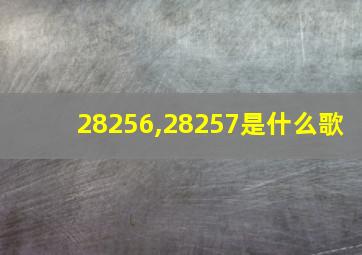 28256,28257是什么歌