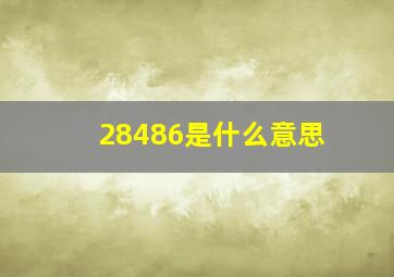 28486是什么意思