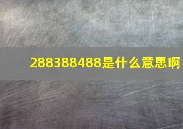 288388488是什么意思啊