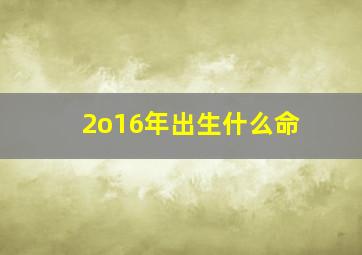 2o16年出生什么命