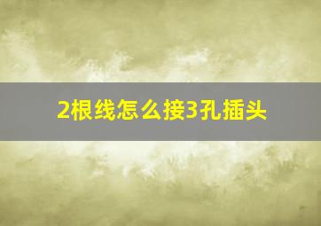 2根线怎么接3孔插头