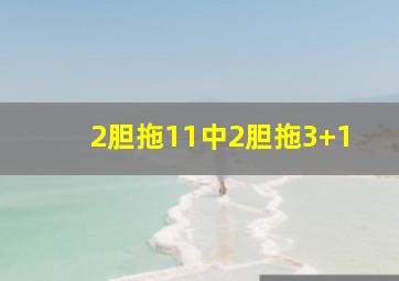 2胆拖11中2胆拖3+1