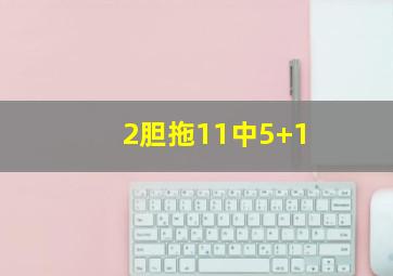 2胆拖11中5+1