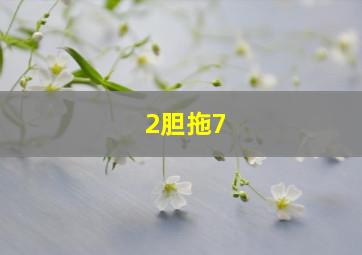 2胆拖7