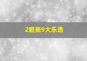 2胆拖9大乐透