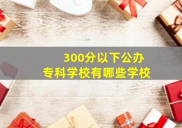 300分以下公办专科学校有哪些学校