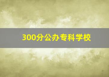 300分公办专科学校