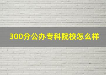 300分公办专科院校怎么样