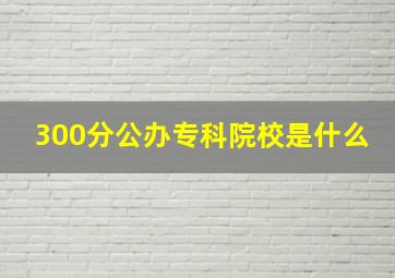 300分公办专科院校是什么