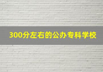 300分左右的公办专科学校