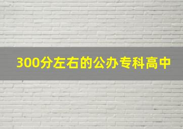 300分左右的公办专科高中