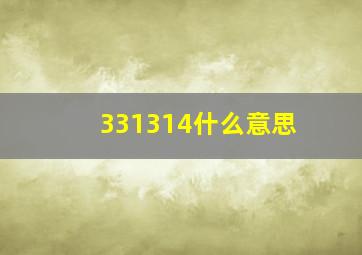 331314什么意思