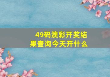 49码澳彩开奖结果查询今天开什么