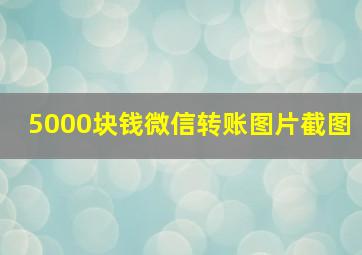 5000块钱微信转账图片截图