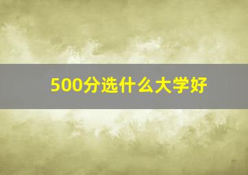 500分选什么大学好