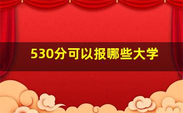 530分可以报哪些大学