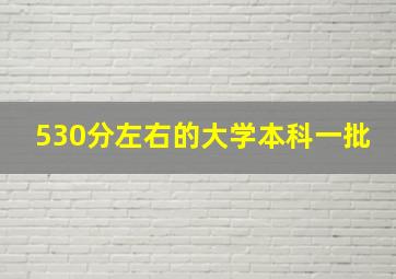 530分左右的大学本科一批