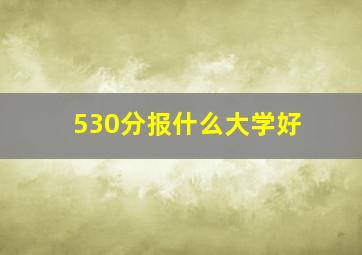 530分报什么大学好