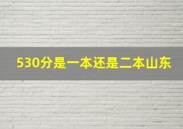 530分是一本还是二本山东