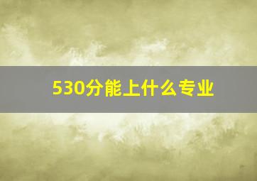 530分能上什么专业