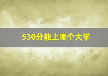 530分能上哪个大学