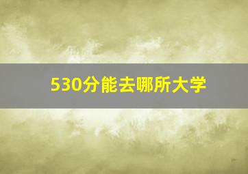 530分能去哪所大学