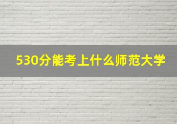 530分能考上什么师范大学