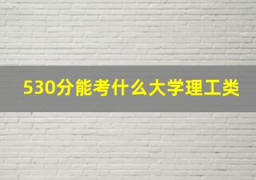 530分能考什么大学理工类