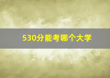 530分能考哪个大学