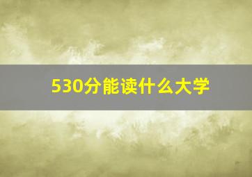 530分能读什么大学