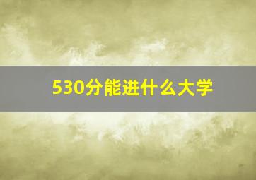 530分能进什么大学