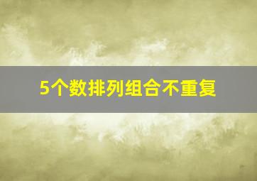 5个数排列组合不重复