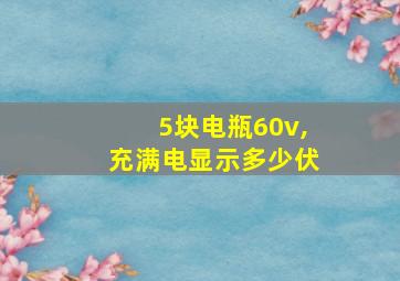 5块电瓶60v,充满电显示多少伏