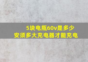 5块电瓶60v是多少安须多大充电器才能充电