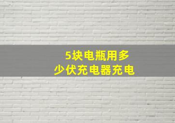 5块电瓶用多少伏充电器充电