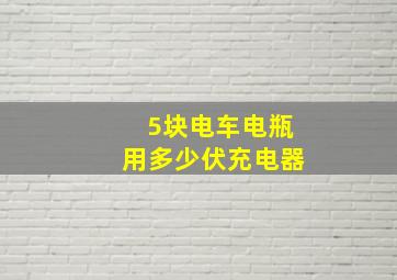 5块电车电瓶用多少伏充电器