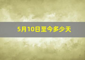 5月10日至今多少天