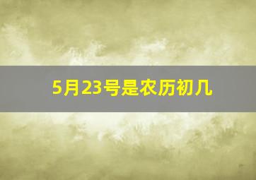 5月23号是农历初几